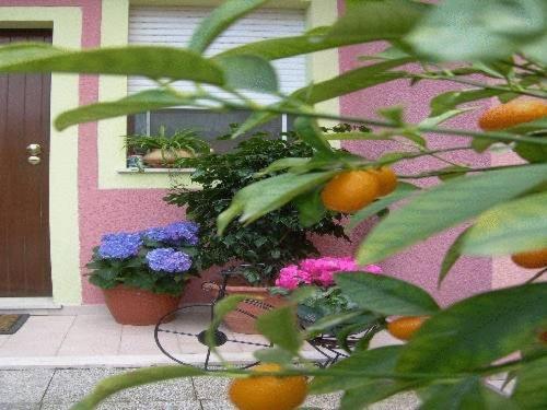 Ariedo Bed And Breakfast คาโปแตร์รา ภายนอก รูปภาพ