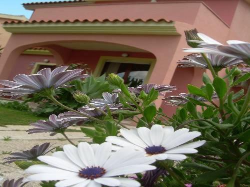 Ariedo Bed And Breakfast คาโปแตร์รา ห้อง รูปภาพ